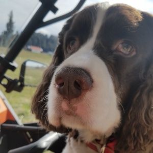 Meet your Posher, James